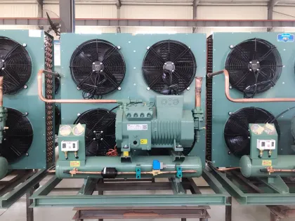 Bitzer condensing unit for cold room