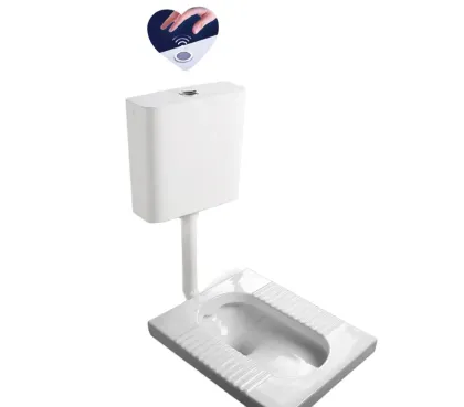 Bathroom Squatting Pan with Induction Water Tank
