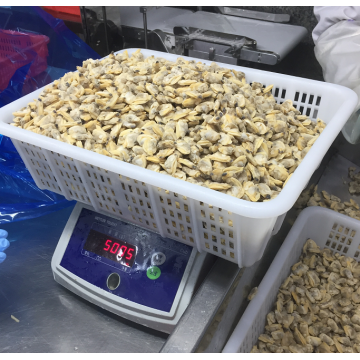 High Quality Frozen Boiled Short Necks Clam Meat