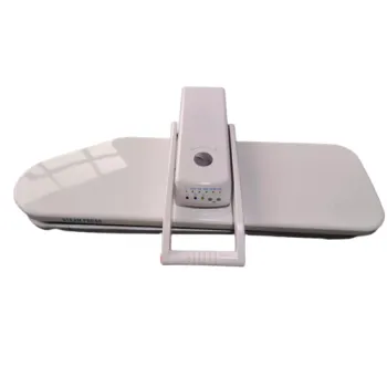 Electric Iron Garment Steamer Steam Press Station