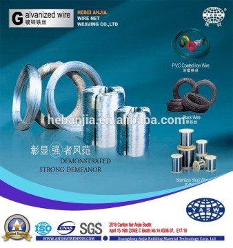 China manufacture high quality 304/316 stainless steel wire (ISO9001 factory)