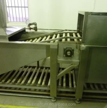 Dried fruit processing line/raisins making line