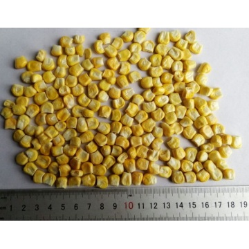 Corn lyophilisé super sucré