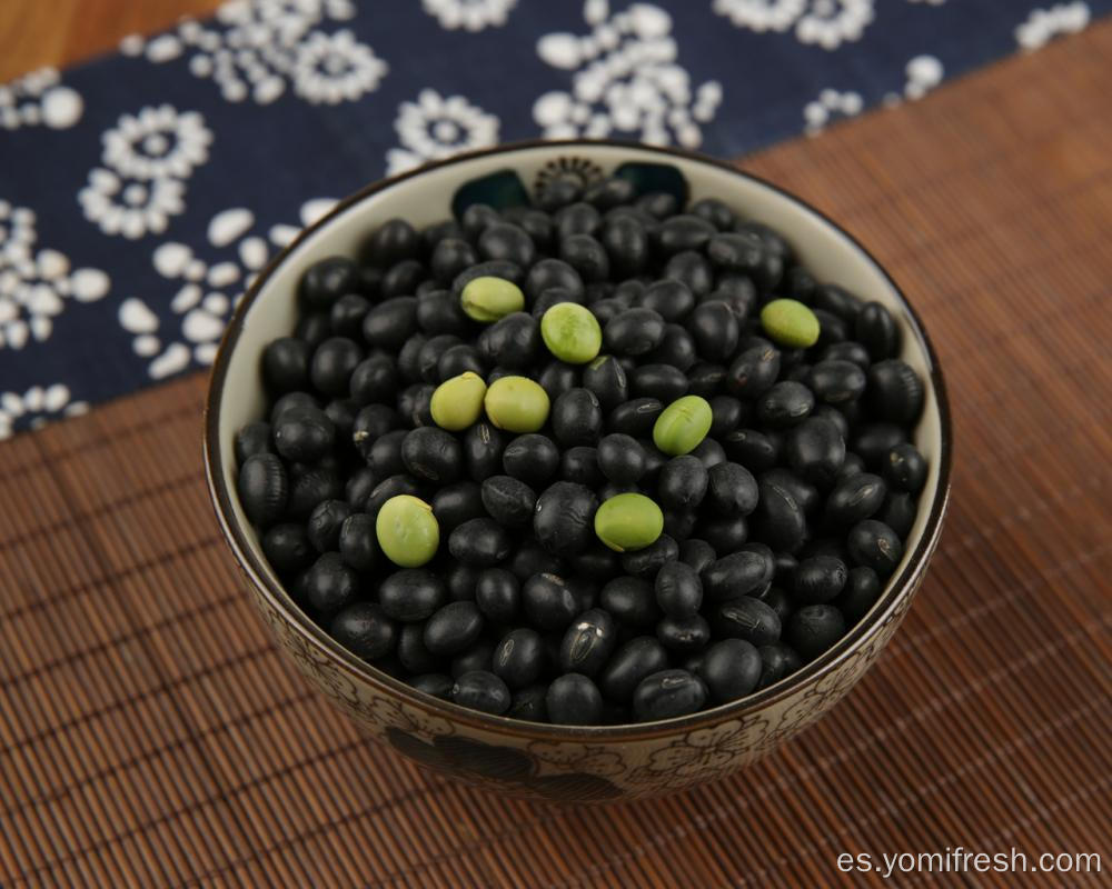 Frijoles más saludables para comer