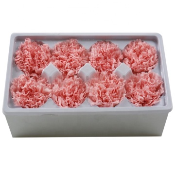 Yunnan Großhandel 4-6 cm langlebig anhaltende echte Berührung erhaltene Blumenköpfe erhalten