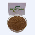 Pure Cinnamon Extract Supplement