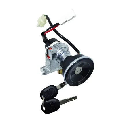 Factory Direct High-Quality 2-Wire 2-Position Electric Motorcycle Ignition Switch for Yadea