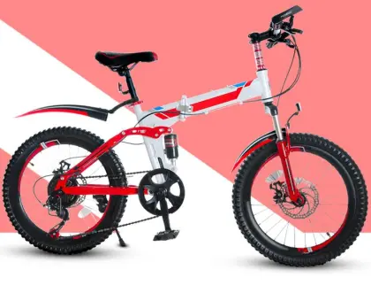 20 inch student folding mountain bicycle
