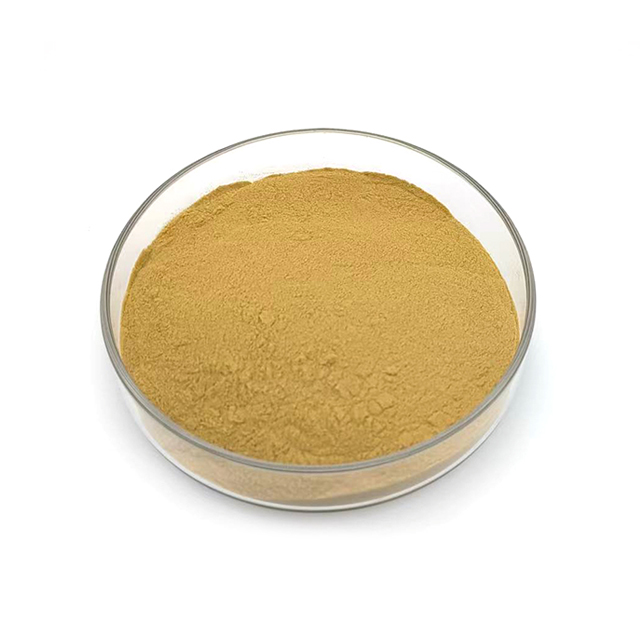 Factory Supply 100% Pure Dried Lotus Leaf Extract Powder Food Grade Bulk Lotus Leaf Extract Powder3