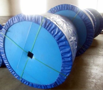 Polyester conveyor belt(Shone belts)
