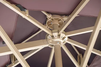 Roman umbrella Local tycoon Jin