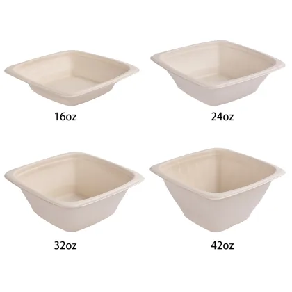 Disposable Sugarcane Bowl Bagasse Bowl Square Bowl