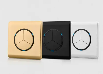 Electrical wall light switch socket (D)