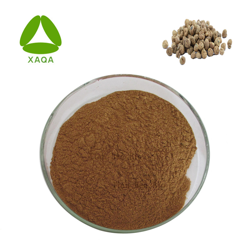 Corydalis root extract