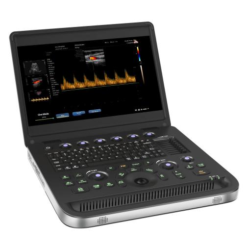 Folded cat liver ultrasound diagnostic equipment