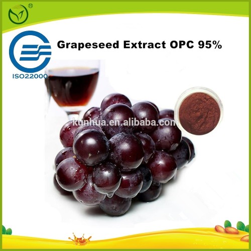 100% Nature High ORAC Value Grape Seed Extract High OPC High Polyphenol Vitis Vinifera L.