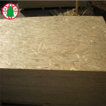 cheap price construction use wood panels OSB