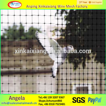 Stretched PP plastic bird net made in china