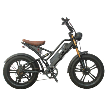 Fast Mountain Fatbike: parti complete di biciclette elettriche tra cui display a 48 V, telaio in lega, opzioni personalizzate, motore da 500 W e batteria al litio