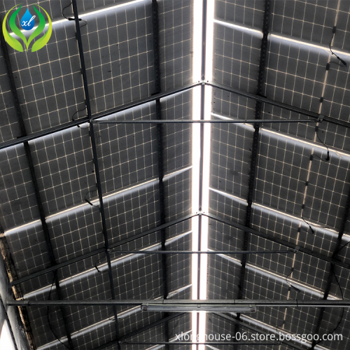 MYXL Aquaponics Fish Farm Tanks for Agricultural Greenhouse Fish Farming & Aquaculture Equipment