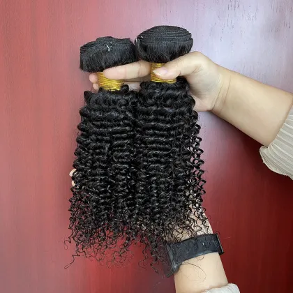 Colored curly hair bonnet curly human hair bundles with closure, Brazilian curly cuticle aligned virgin hair bundles