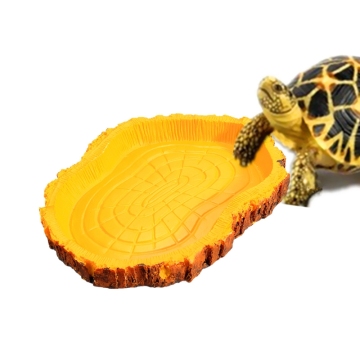 Wholesale Price ABS Plastic Reptile Tortoise Water Dish Food Bowl Toy For Amphibians Gecko Snakes Lizard 115*85*13mm