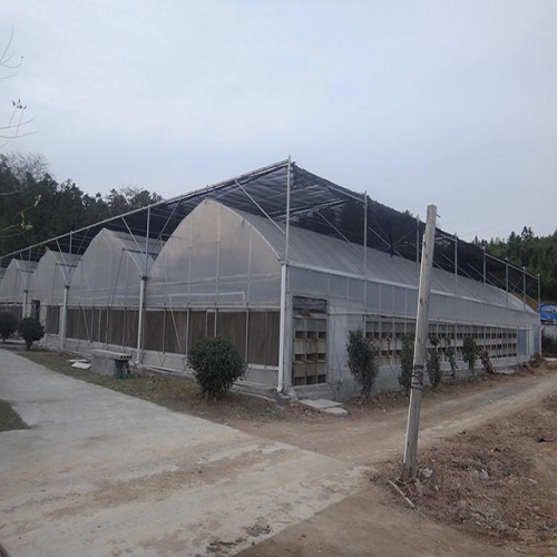 Poly tunnel house agriculture multi span film greenhouses