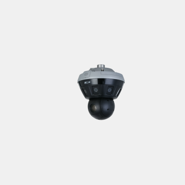 WizMind Network Camera PSDW8842S-A180-D425