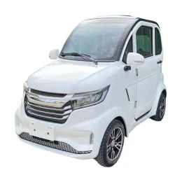 60v 2500w 2 seat mini electric car/electric cabin scooter with EEC