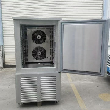 High Capacity Commercial Grade Refrigeration Solutions: Meat Fridge, Blast Chiller, Freezer, and Shock Freezer for Fish
