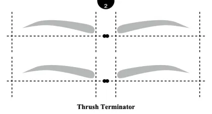 eyebrow template eyebrow shaping tool eyebrow stencils