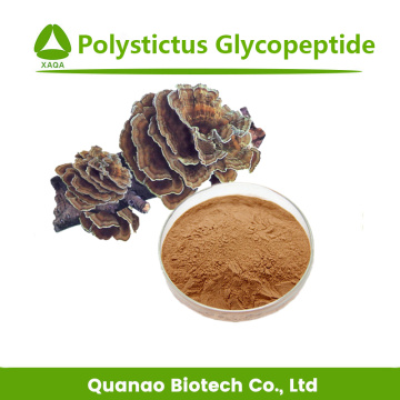 Coriolus Versicolor Extract Polystictus Glycopeptide Powder