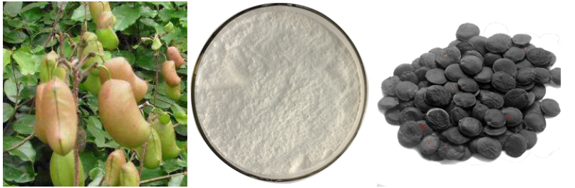 5-htp Powder