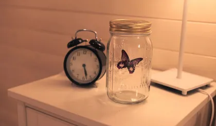 Solar Powered Flying Fluttering Butterflies