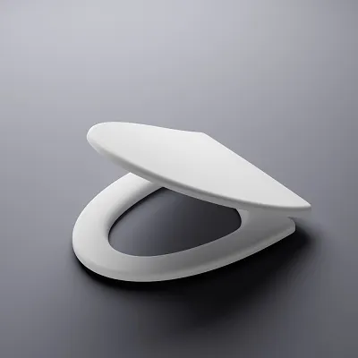 Roca Hall Toilet Seat with Bumper, Shower Hinge Cover & CE Certificate