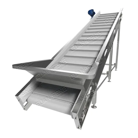 Industrial Belt Lifting Elevator and Conveyor System for Fruits Processing