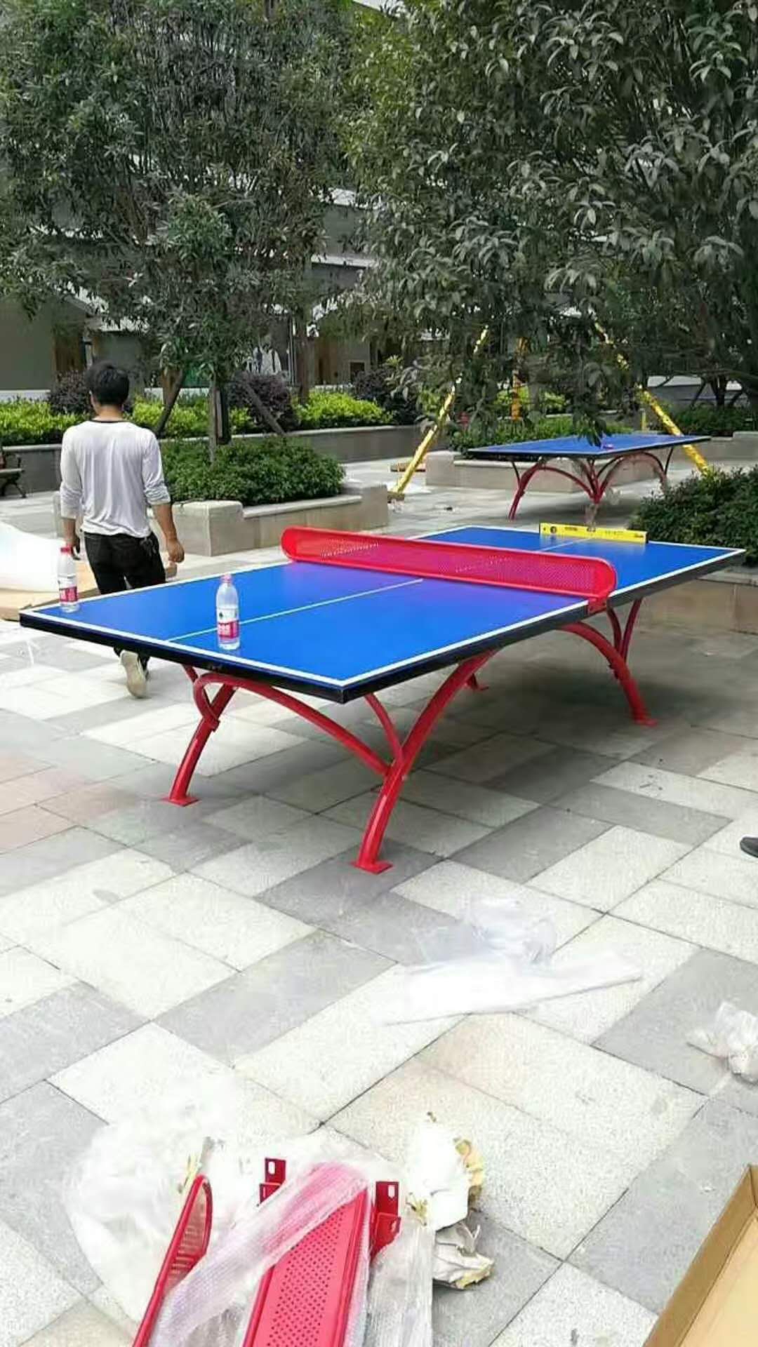 Affordable Blue Folding Ping Pong Table