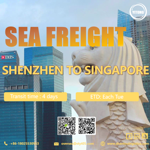 Taux de fret de mer de l&#39;océan de Shenzhen à Singapour