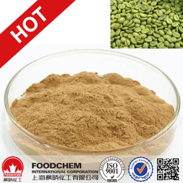 45% 50% 60% Pure Chlorogenic acid,Green Coffee Bean Extract Chlorogenic acid