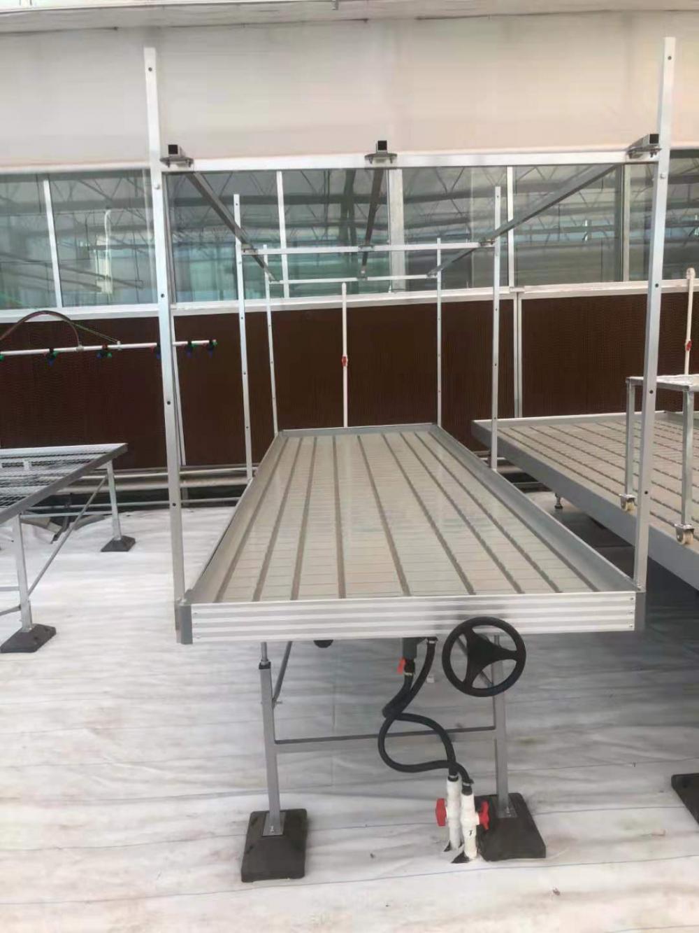 Skyplant Ebb Flow Rolling Bench in Greenhouse