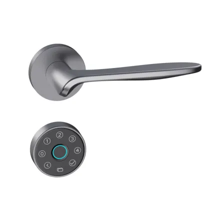 Easy Installation Smart Door Lock