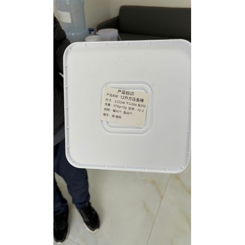 Custom Food Packing Square Plastic Bucket with lids