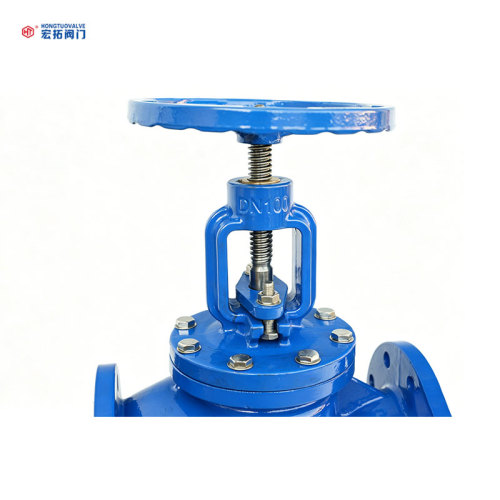 Válvula globo com flange DN100