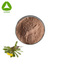 Instant Herbal Tea Dandelion Root Extract Powder