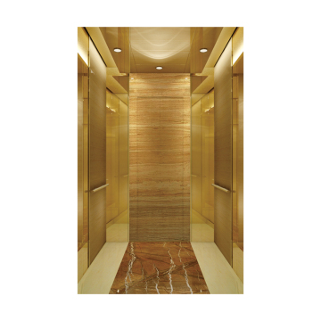 Factory Direct Sandblasted Stainless Steel 320KG Home Elevator Sales