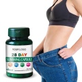 Herbal Supplements 28 Day Fat Burning Slimming Capsules