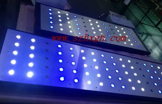 240w Dimmable Reef Aquarium Led Light Bule / White Color Coral Light For Reef Growth