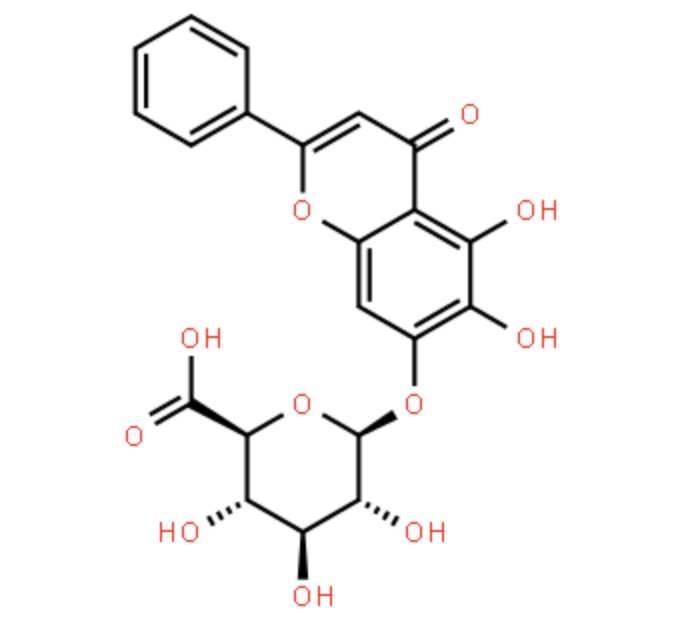 Astragaloside Powder Supplier