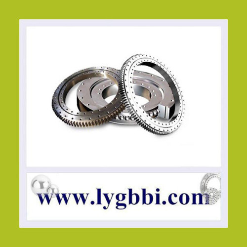 30mm-2500mm Precision Outer Gear Rotary Bearing