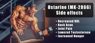 sarms ostarine before and after